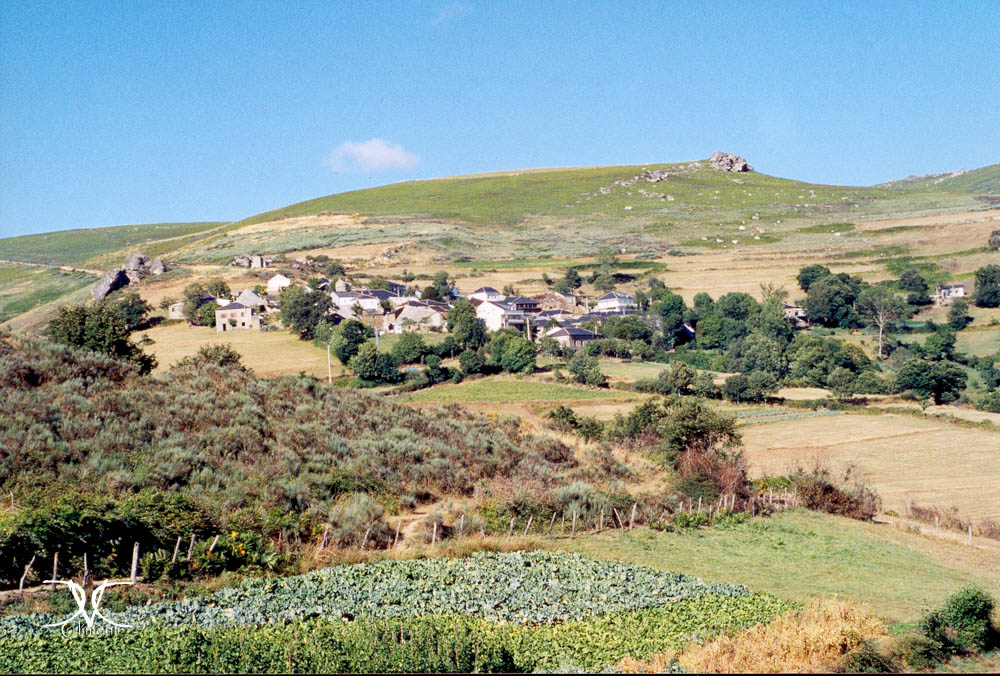 Galería